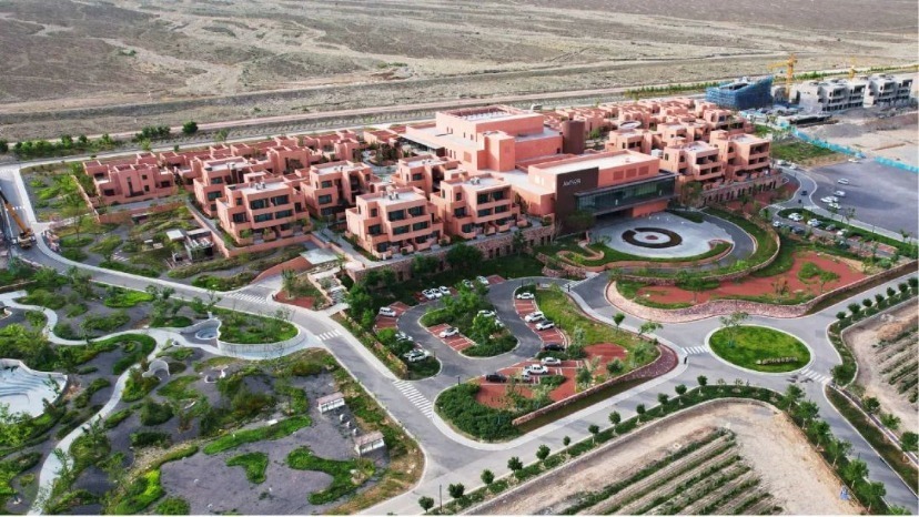 体育, 高到低共分 体育, 高到低共分