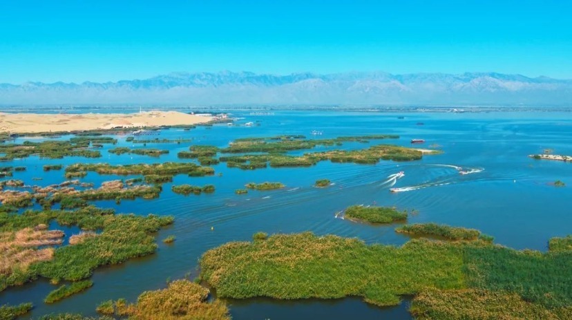 网球大师赛 网球大师赛