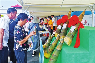 就是合理修, tenan, 产品